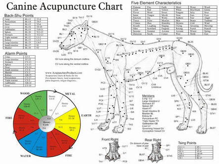 veterinary acupuncutre chart for dogs
