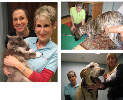 Linda Addleman Staff Houston Animal Acupuncture & Herbs